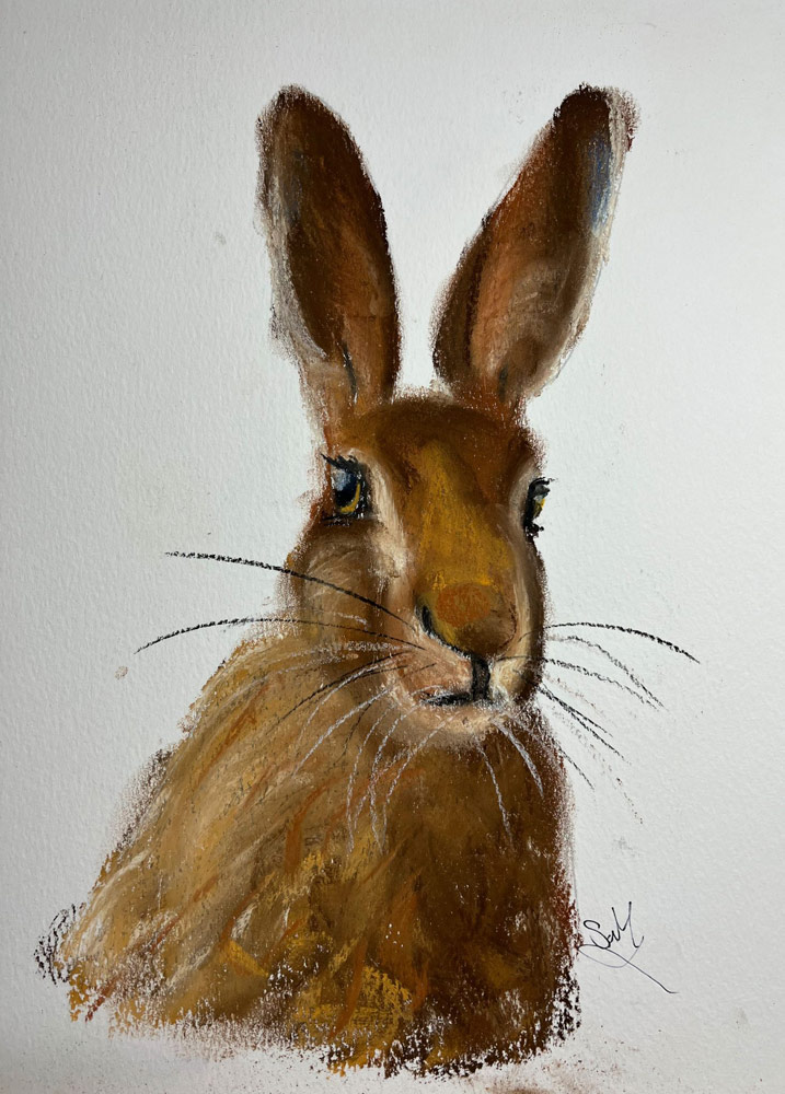 Hare pastel painting by Su Melville.
