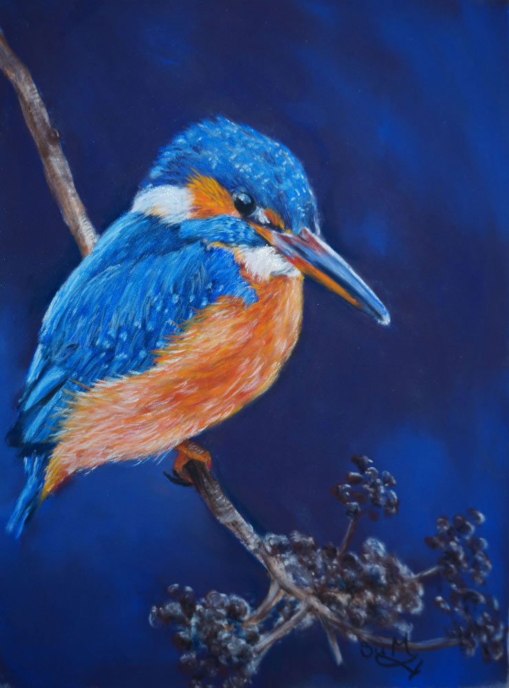 Kingfisher in Pastels, by Su Melville.