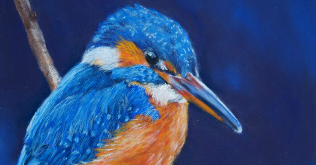 Starting out with soft pastels by su melville feat