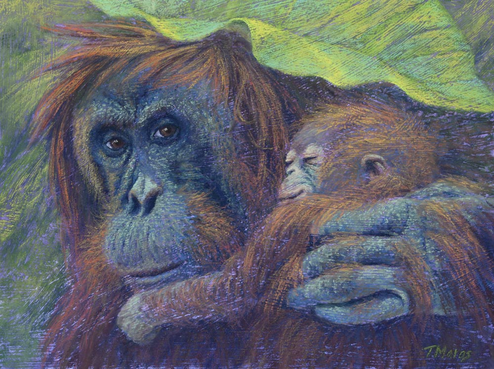 Orangutan painting by Tracey Maras.