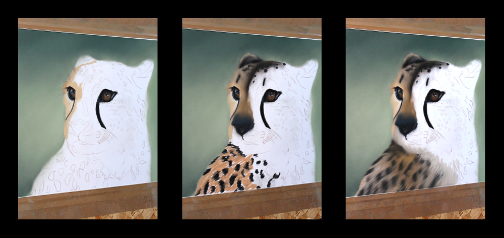 Step by step process of Emily's Cheetah painting.