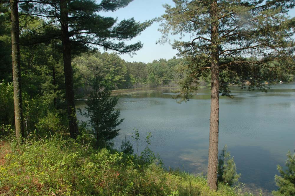 Summer lake scene surrounded by evergreen forest.