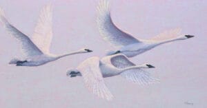 Inspiration and transformation ii by tracey maras feat