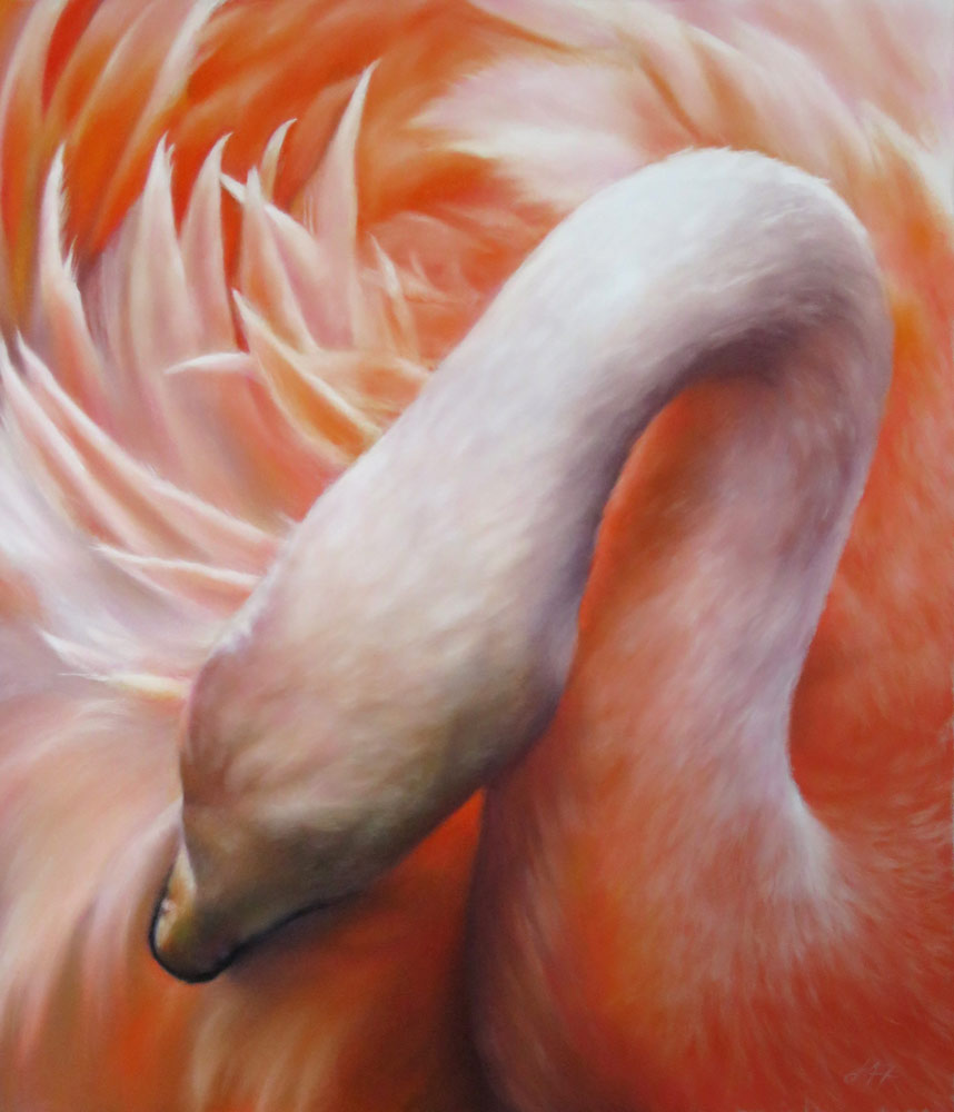 Preening flamingo painting by Julie Freeman.