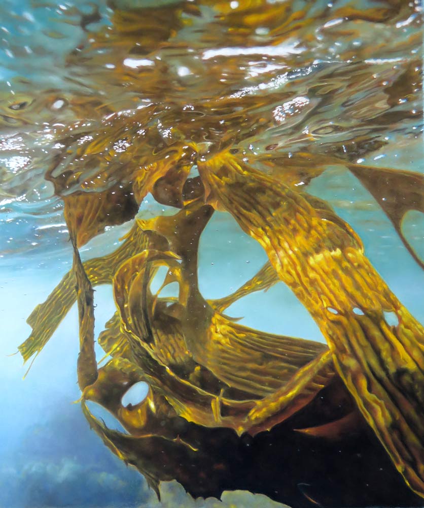 Seaweed pastel painting by Julie Freeman.