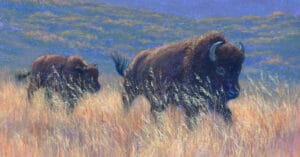 How long did it take by tracey maras feat