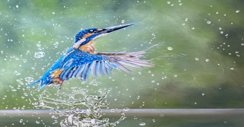 An interview between Stephen Fuller and Tricia Findlay.