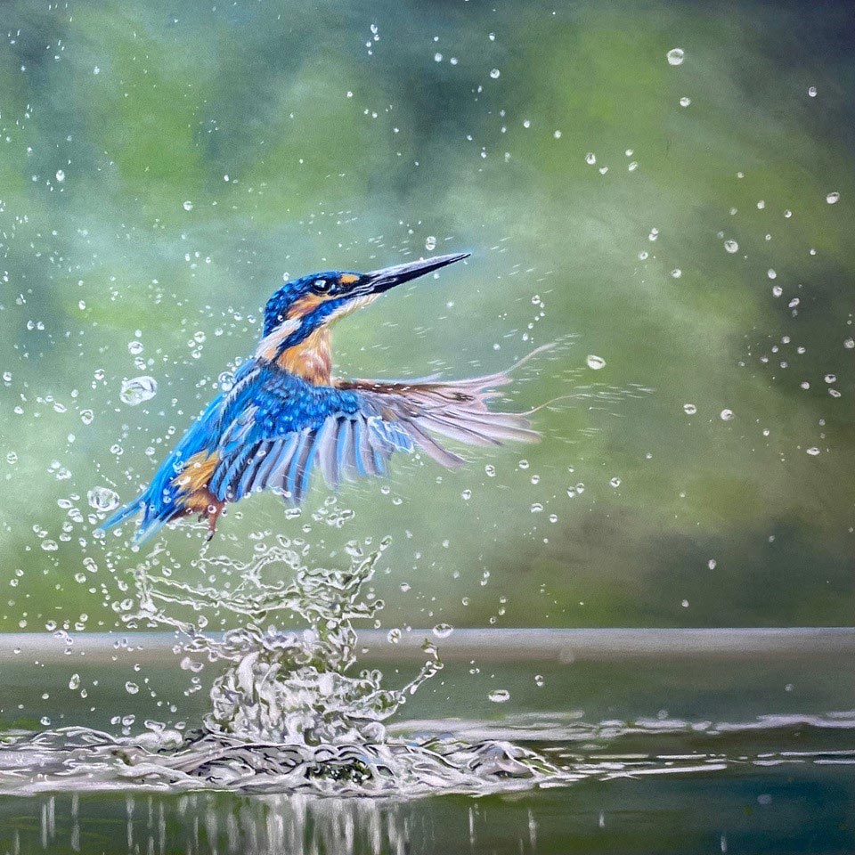 &#039;Lift Off&#039; soft pastel painting of a Kingfisher rising from the water, by Tricia Findlay.