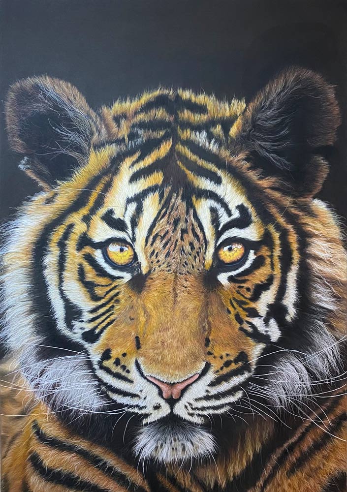 Tiger soft pastel painting by Tricia Taylor.