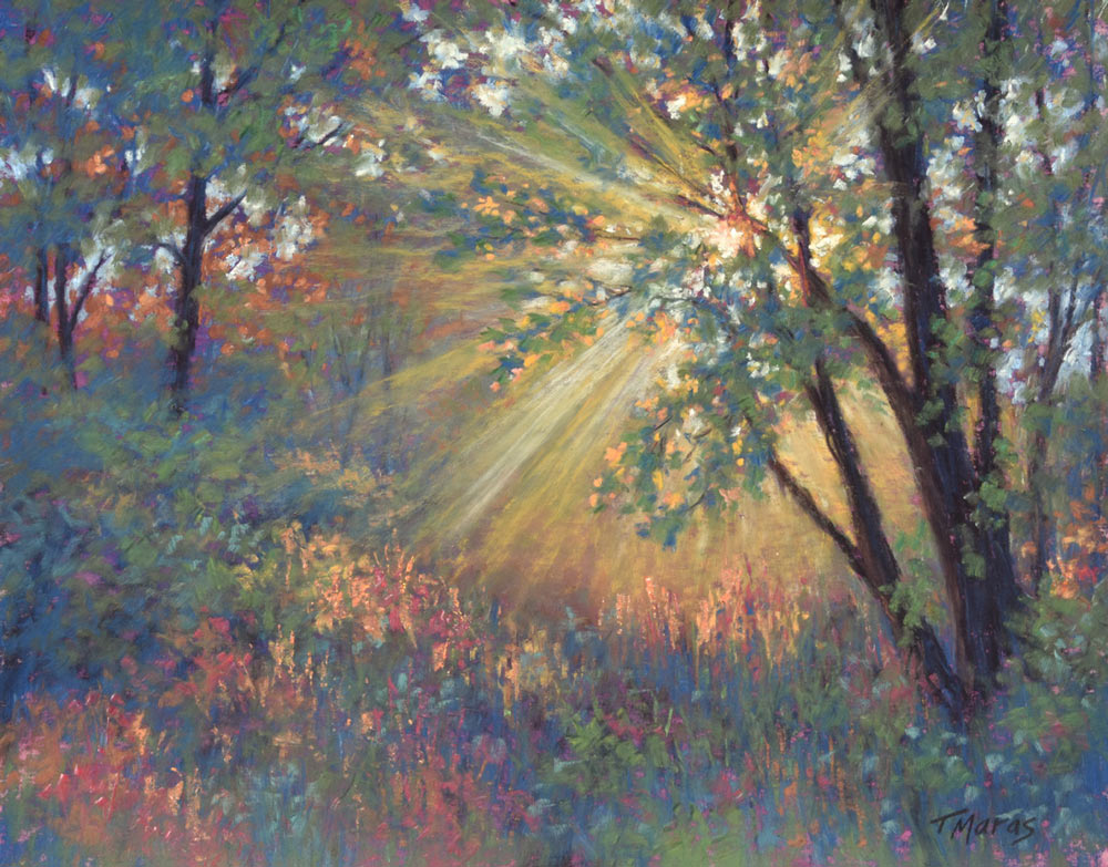 Woodland soft pastel painting titled Blessing, by Tracey Maras.