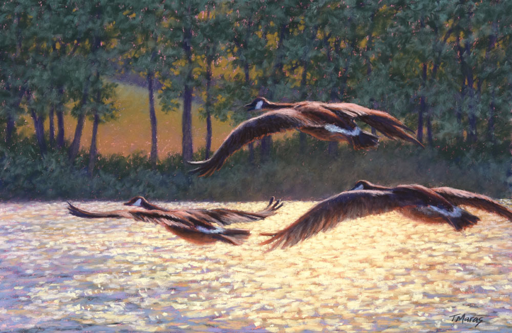 Tracey Maras' soft pastel painting of the 3 swans flying across a lake, titled 'Heralding The Morning'.