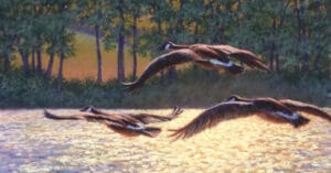 A blog from Tracey Maras.