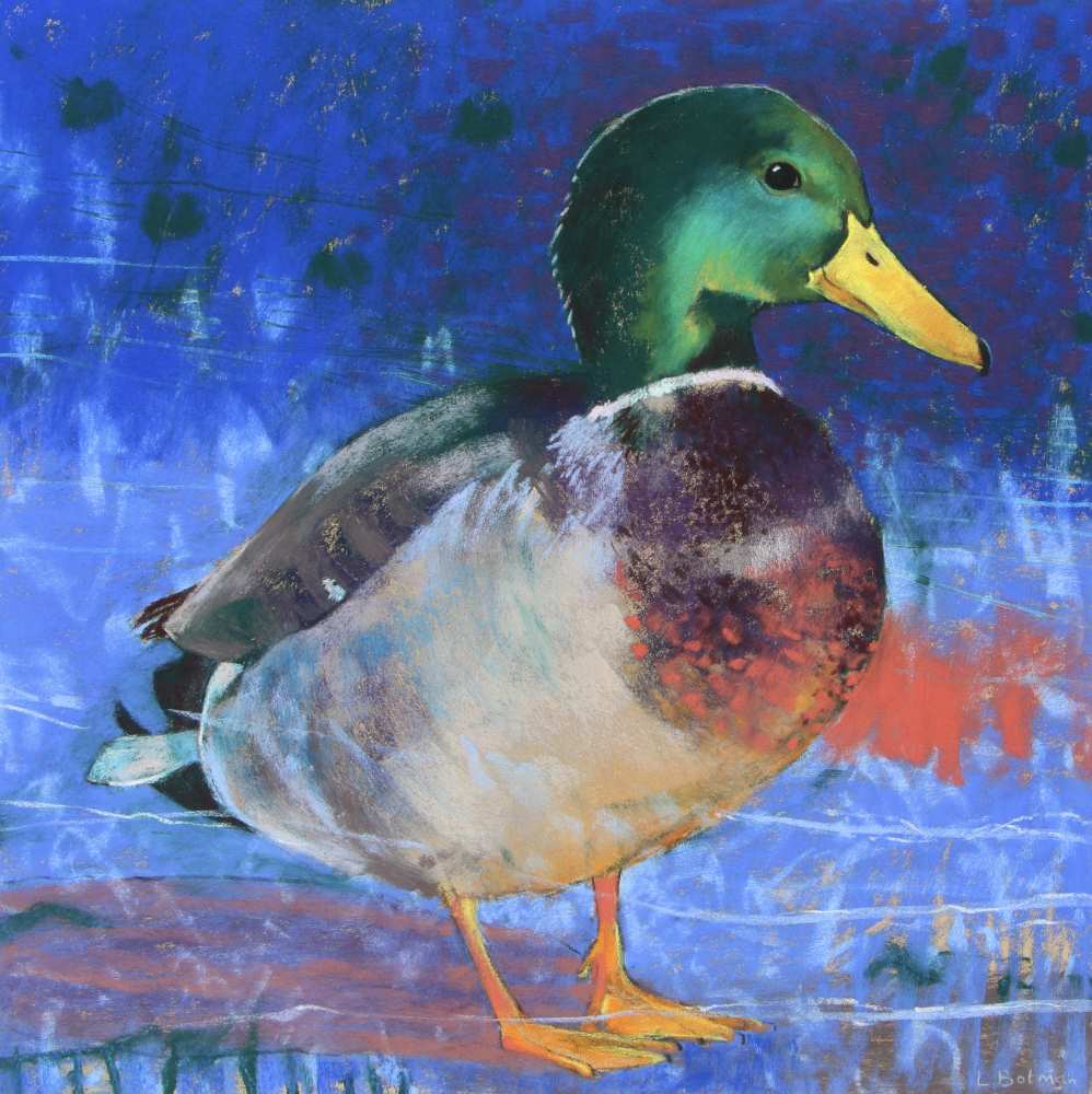 21075 50x50 cm a eend kopieby loes botman