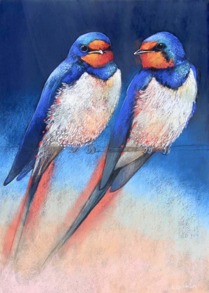 21088 65x47 cm a zwaluw kopieby loes botman