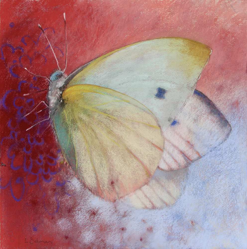 2222048x48 cm b vlinder kopieby loes botman