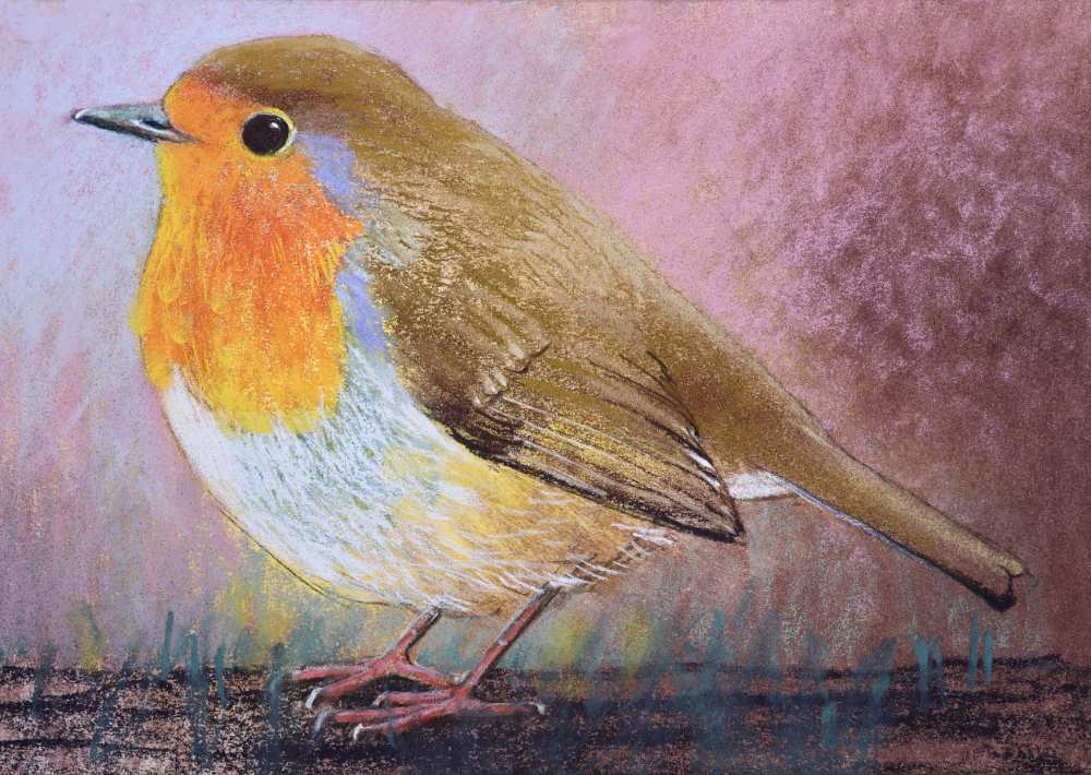 23035 30x40 cm roodborstby loes botman