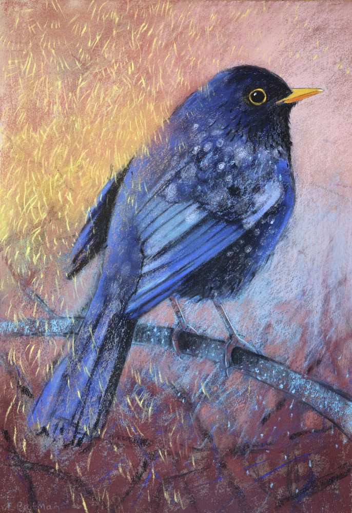 23064 63x45 cm b merel kopieby loes botman