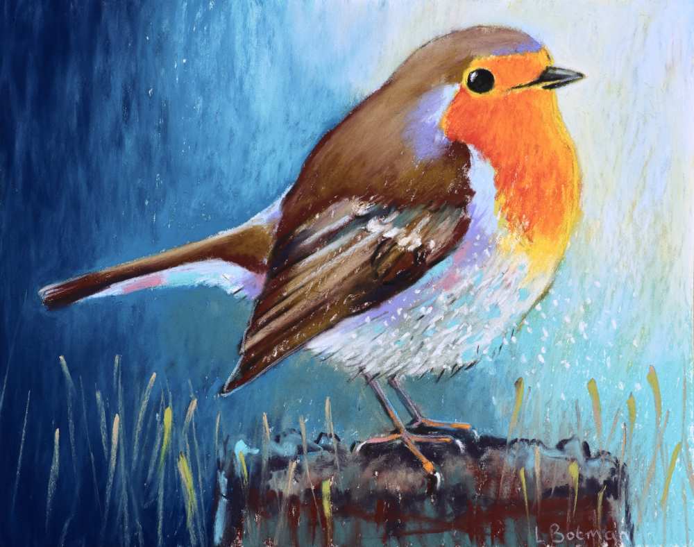 23075 20x28 cm a roodborst kopieby loes botman