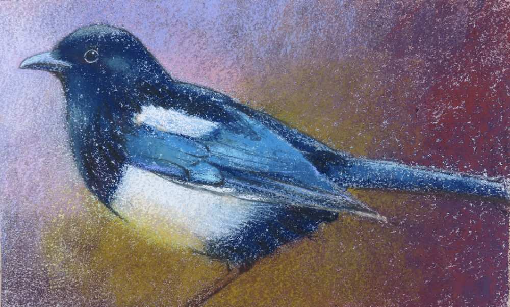 23077 23x40 cm a ekster kopieby loes botman