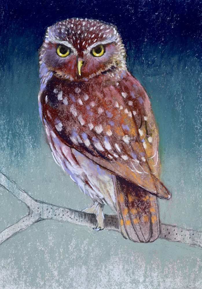 23079 40x30 cm b kopieby loes botman