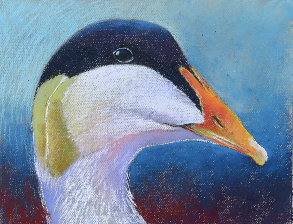 23084 35x27 cm eidereend kopieby loes botman