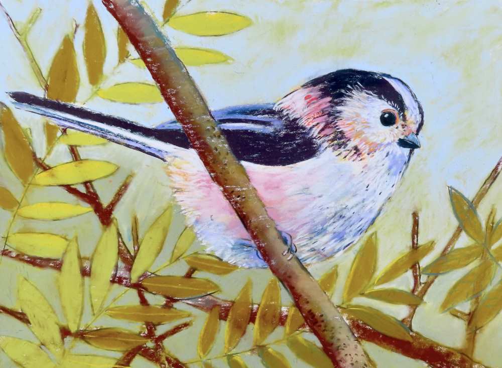 23093 30x40 cm staartmees kopieby loes botman