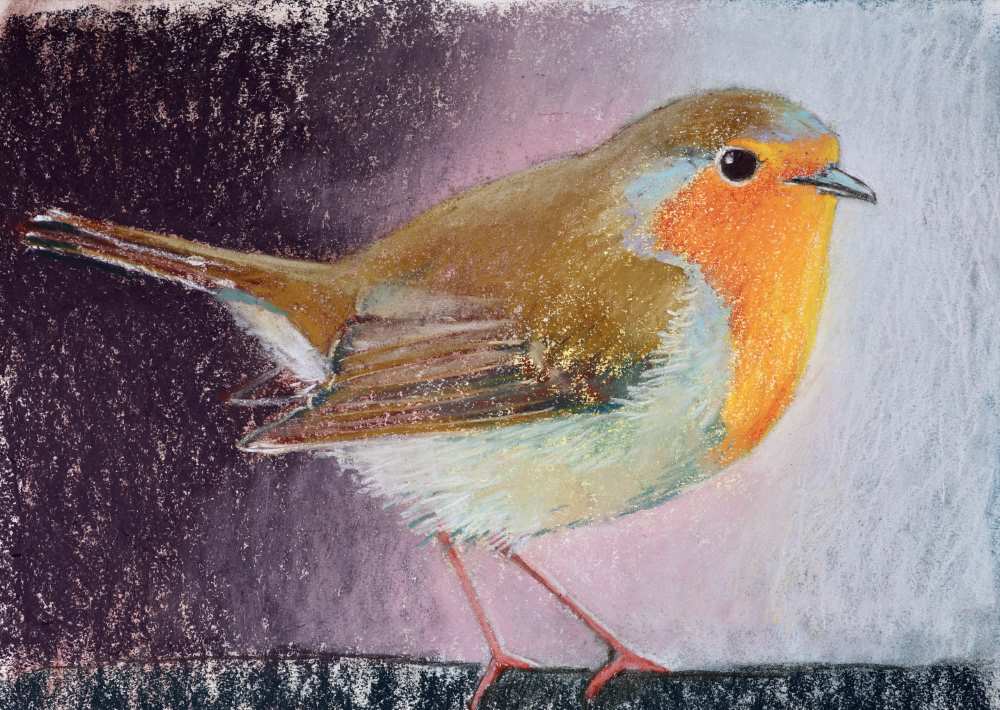 23154 30x40 cm roodborst kopieby loes botman