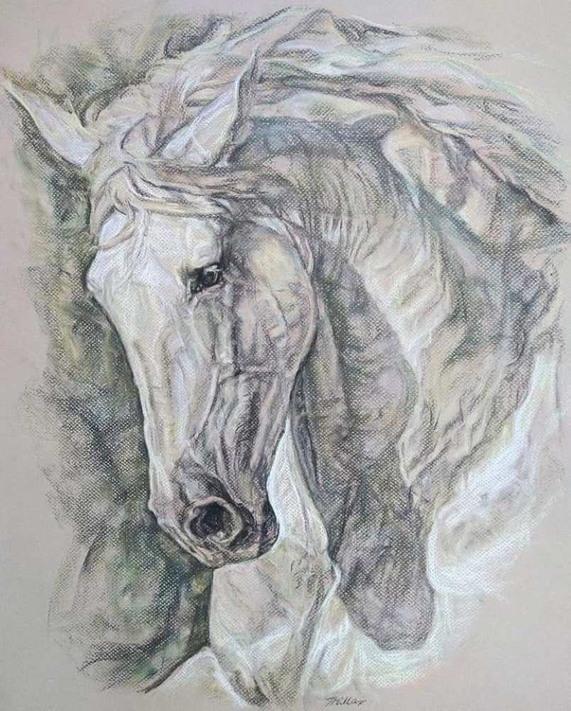 Equestrian Artists and their use of Soft Pastels 7