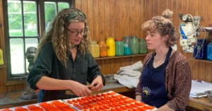 Ginny elstons visit by liz reekie feat