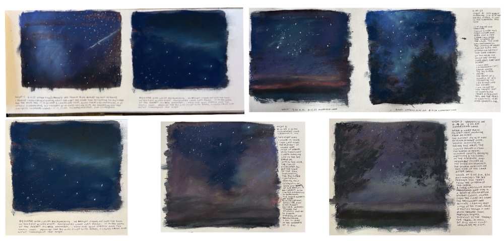 Pages of Lyn's sketchbook of paintings and notes.