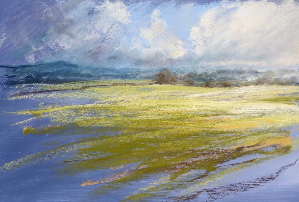 Broad strokes example open fields by rebecca de mendonca