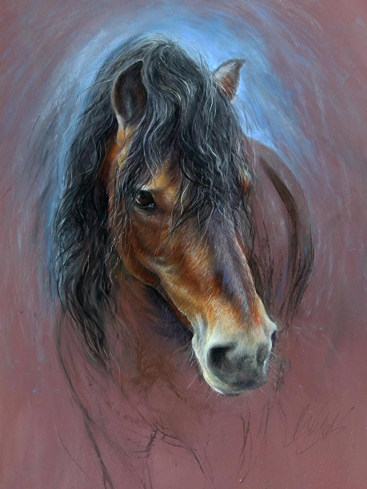 Combining techniques example dartmoor stallion by rebecca de mendonca