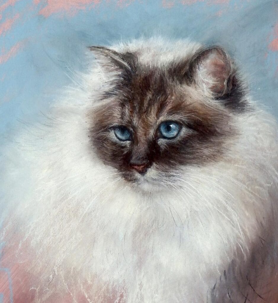 Smudging example jub jub by rebecca de mendonca