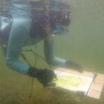 Liz Myhill, drawing while snorkelling.