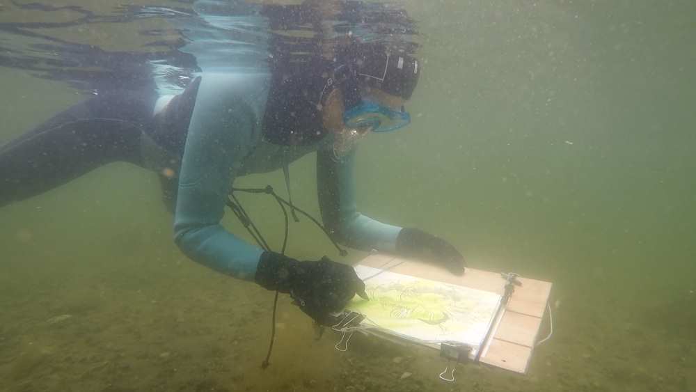 Liz Myhill, drawing while snorkelling.