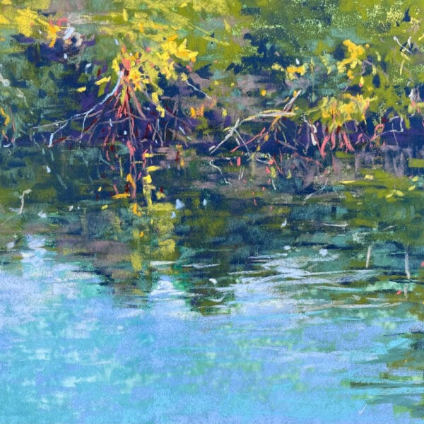 Mangroves workshop product image