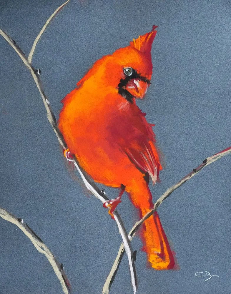 Red cardinal cindy barillet completed artwork