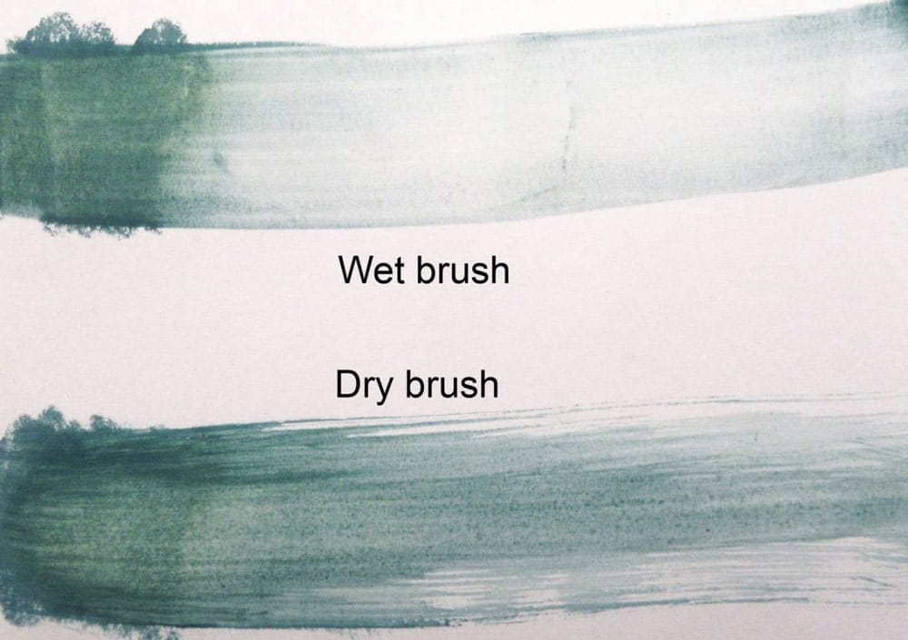 Wet and dry with liz myhill