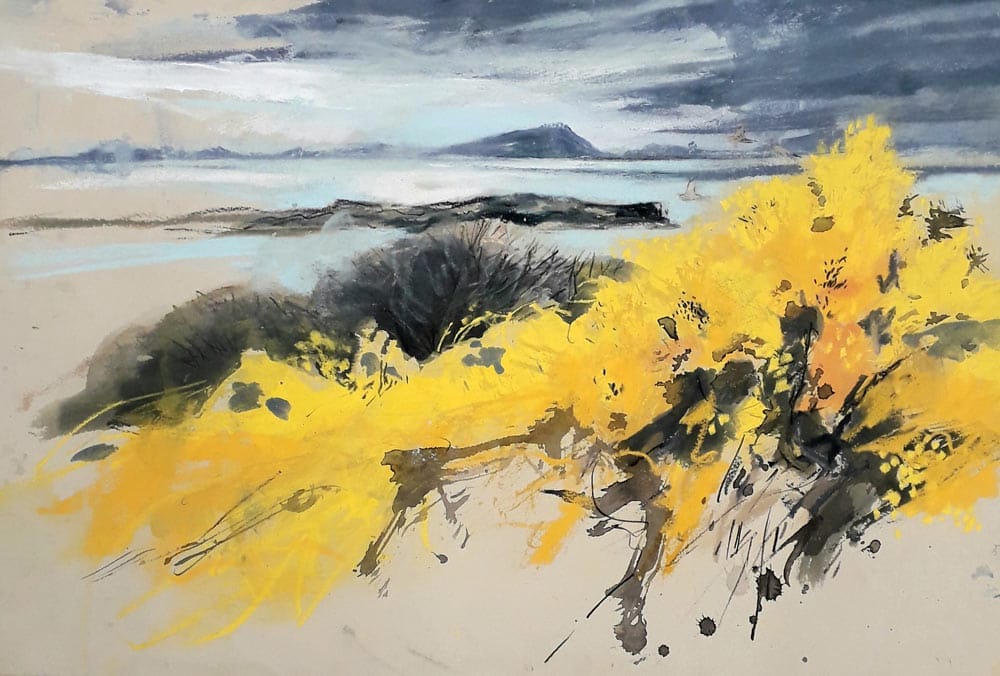 Working with a limited colour palette with liz myhill 9 gorse