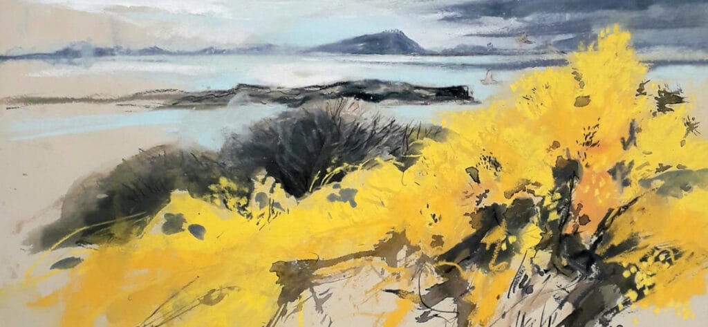 Working with a limited colour palette with liz myhill cover