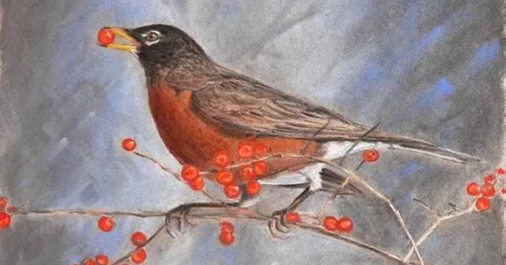 Garden of colour and flight by daniel porter feat