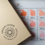 Hand drawn colour chart 2024 5 v2