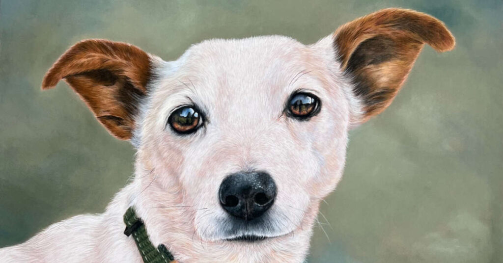 Pets and pastels by tricia findlay feat