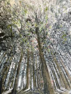 Fingle woods by katy bailey