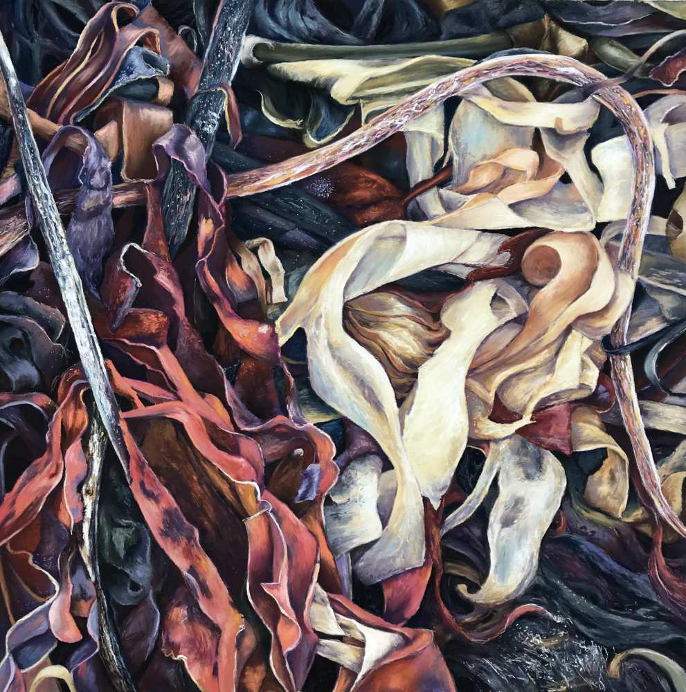 Fire Of The Deep By Fiona Carvell