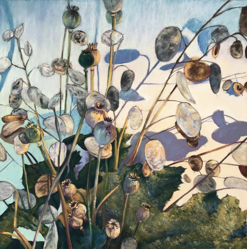 Shadows Of Honesty By Fiona Carvell