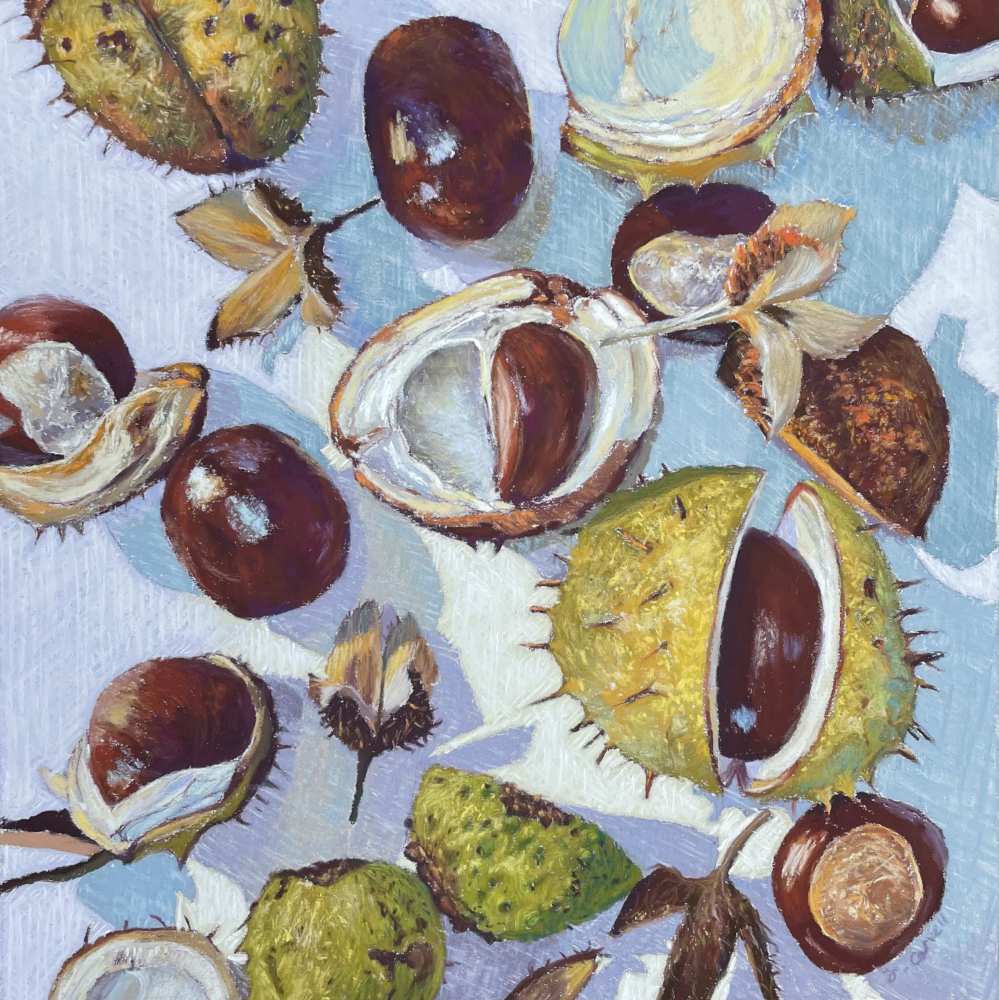 Wonder By Fiona Carvell