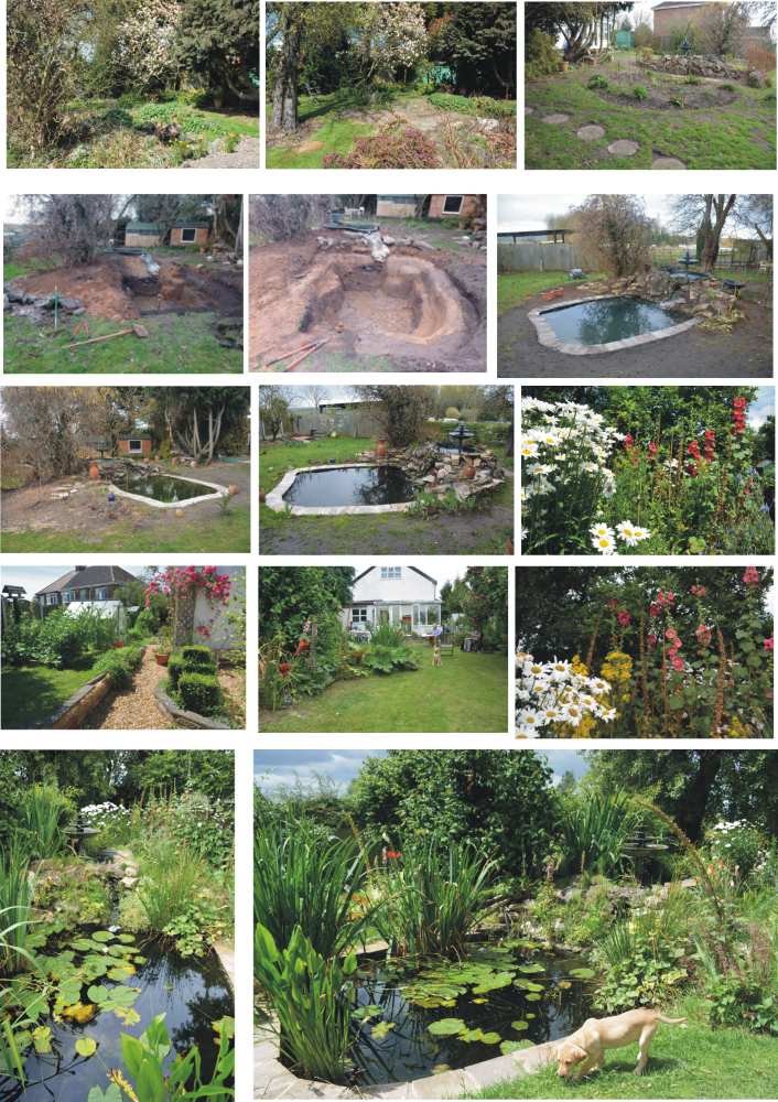 3 sheet pond creat peter wood