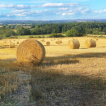 Summer cornfields masterclass course feat