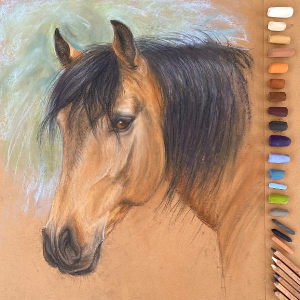 Portrait of a Buckskin Horse